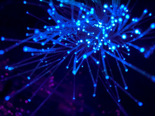 Decoding the Success of lovelolablog Code